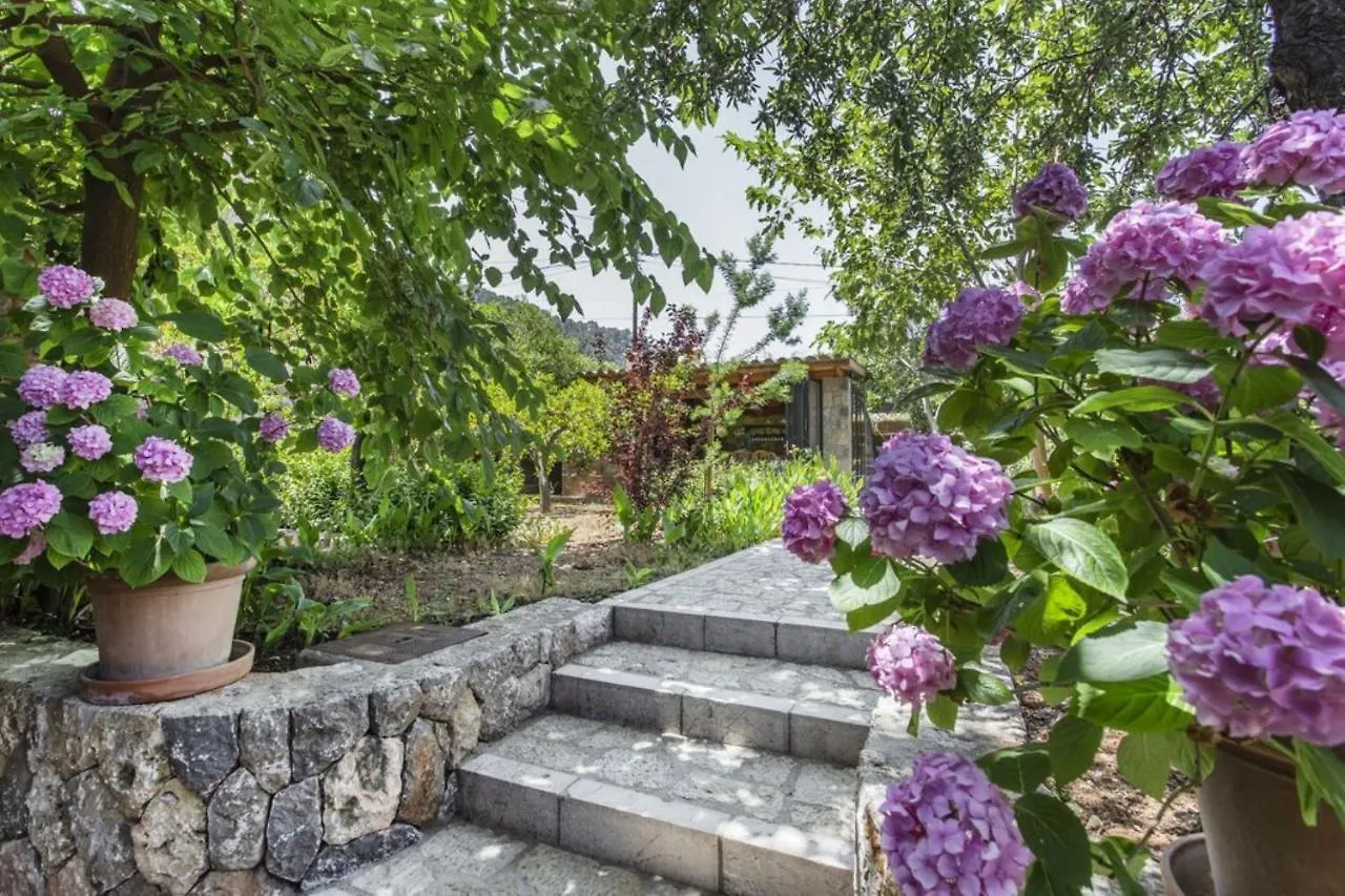 Sa Vinya De Son Bou Villa Sóller