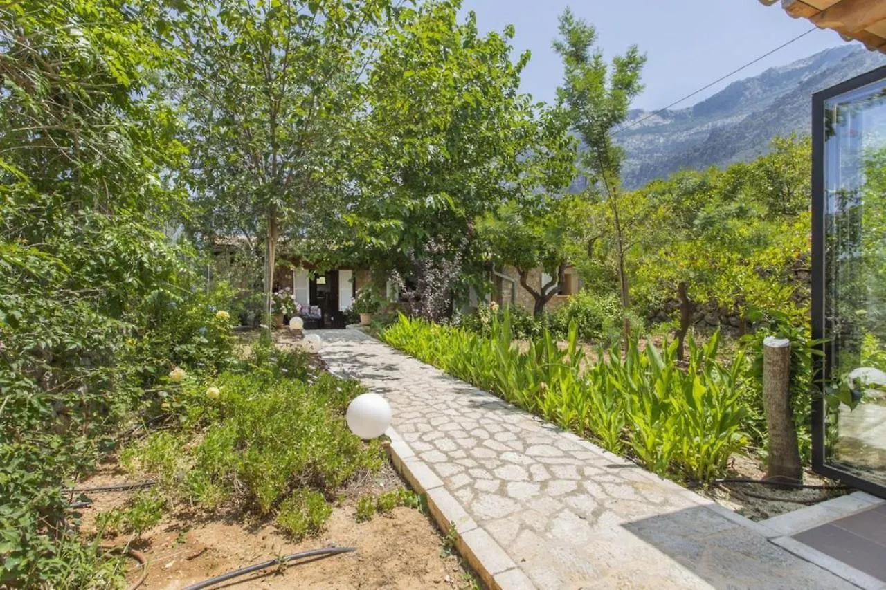 Sa Vinya De Son Bou Villa Sóller